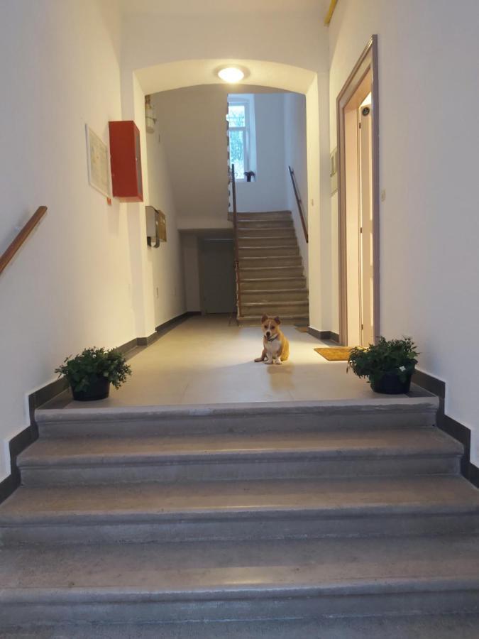 Apartman Draguć Pula Zewnętrze zdjęcie